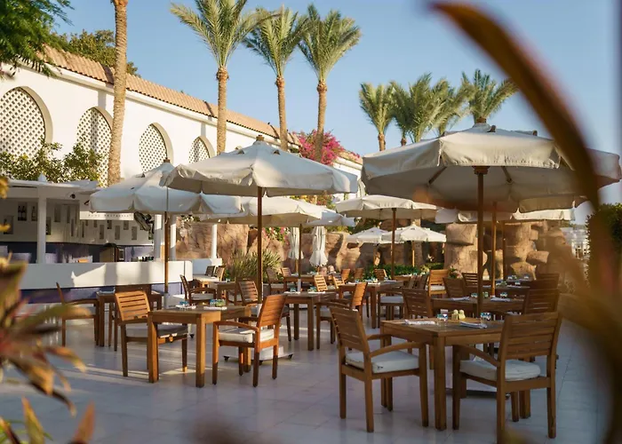 Baron Palms Adults Friendly Only 16 Years Plus Boutique Hotel Style Sharm el Sheikh